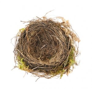 empty nest syndrome symptoms