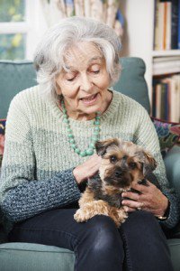 pet therapy for seniors
